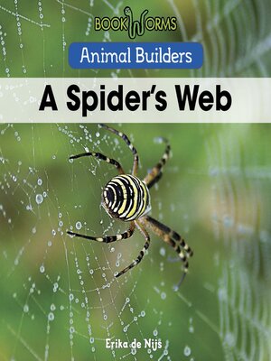 cover image of A Spider's Web